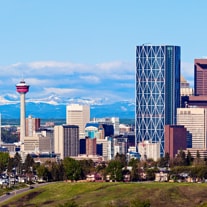 calgary miniature